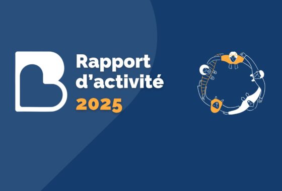 Notre rapport d&rsquo;activité 2025 est disponible !